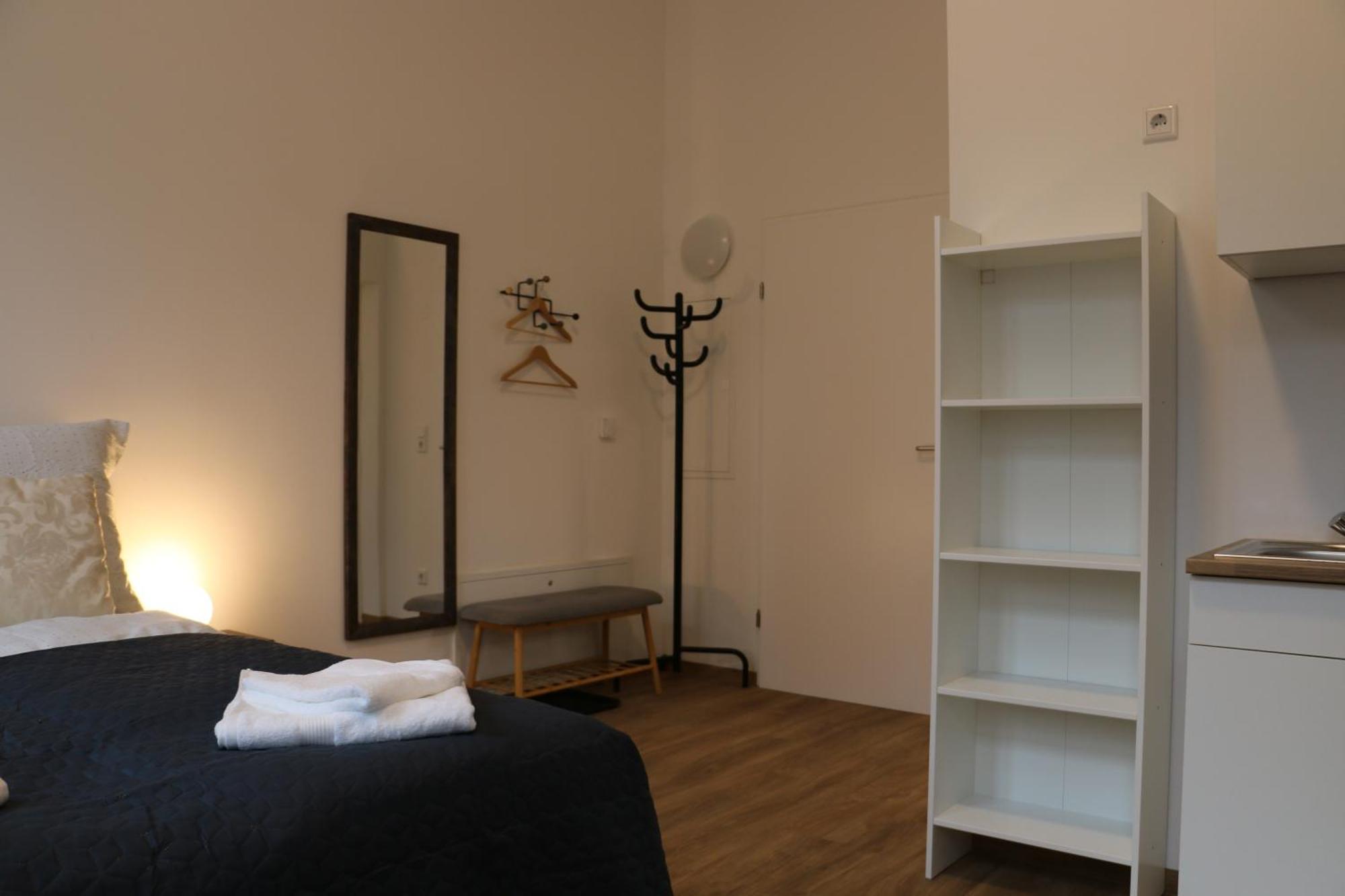 River View Apartment Wohnen Am Fluss Linz Exterior photo